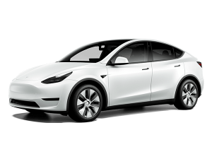 tesla-y-2
